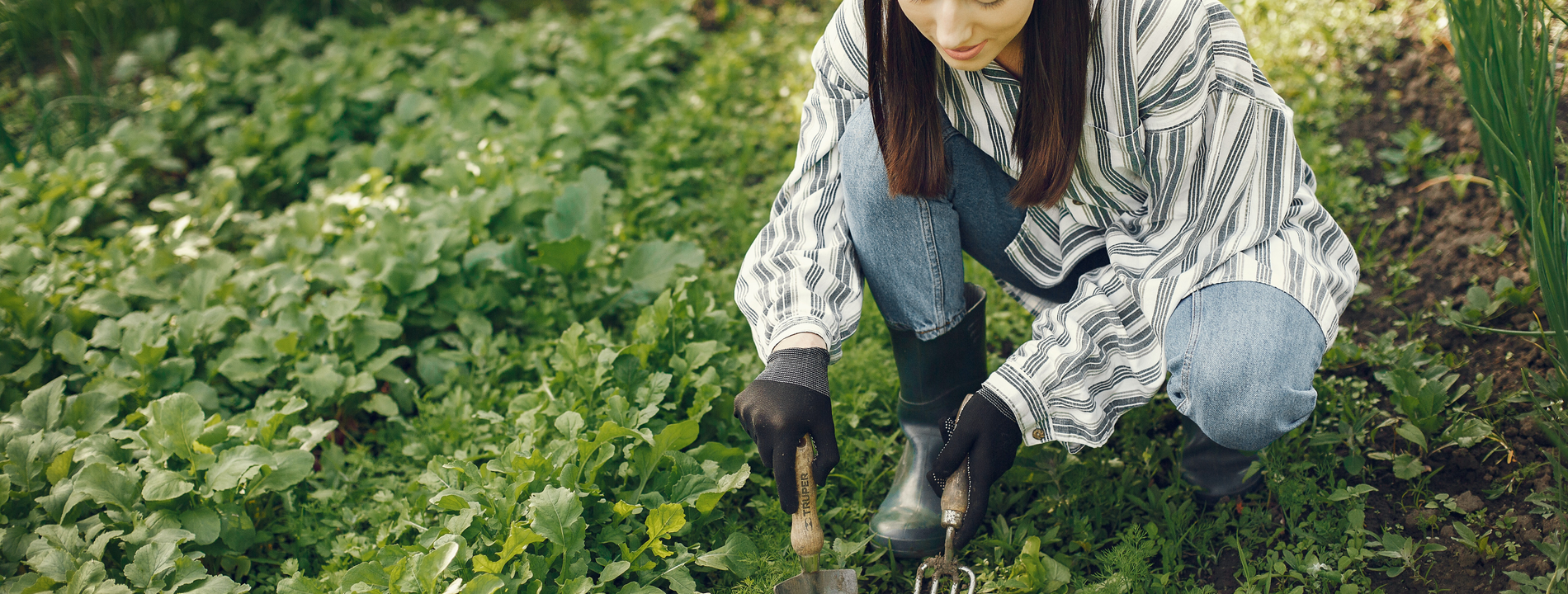 ANJ Landscaping & Outdoor Services