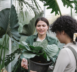 ANJ Landscaping & Outdoor Services