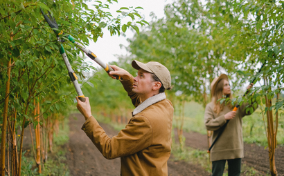ANJ Landscaping & Outdoor Services