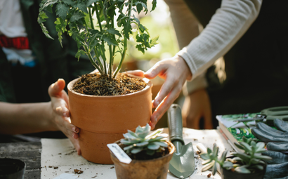 ANJ Landscaping & Outdoor Services