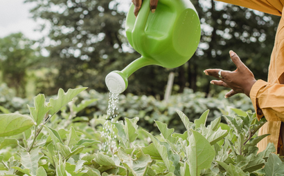 ANJ Landscaping & Outdoor Services