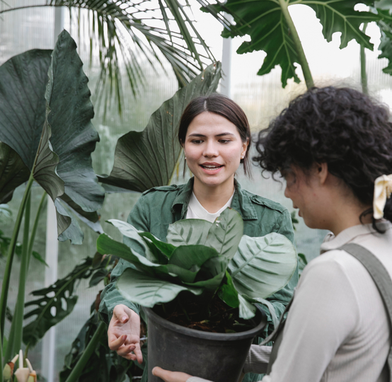 ANJ Landscaping & Outdoor Services