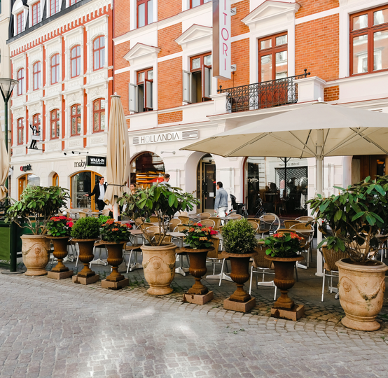 ANJ Landscaping & Outdoor Services