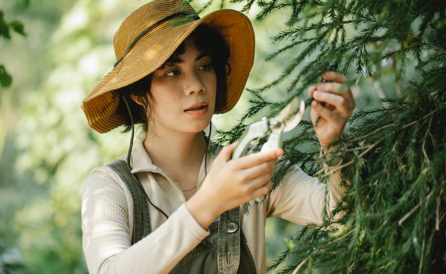 ANJ Landscaping & Outdoor Services