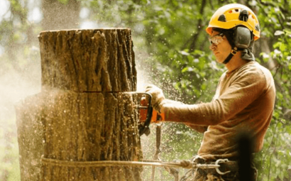 ANJ Landscaping & Outdoor Services